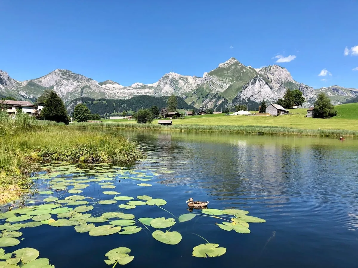 Der Schwendisee, ein Bergsee der Umgebung
